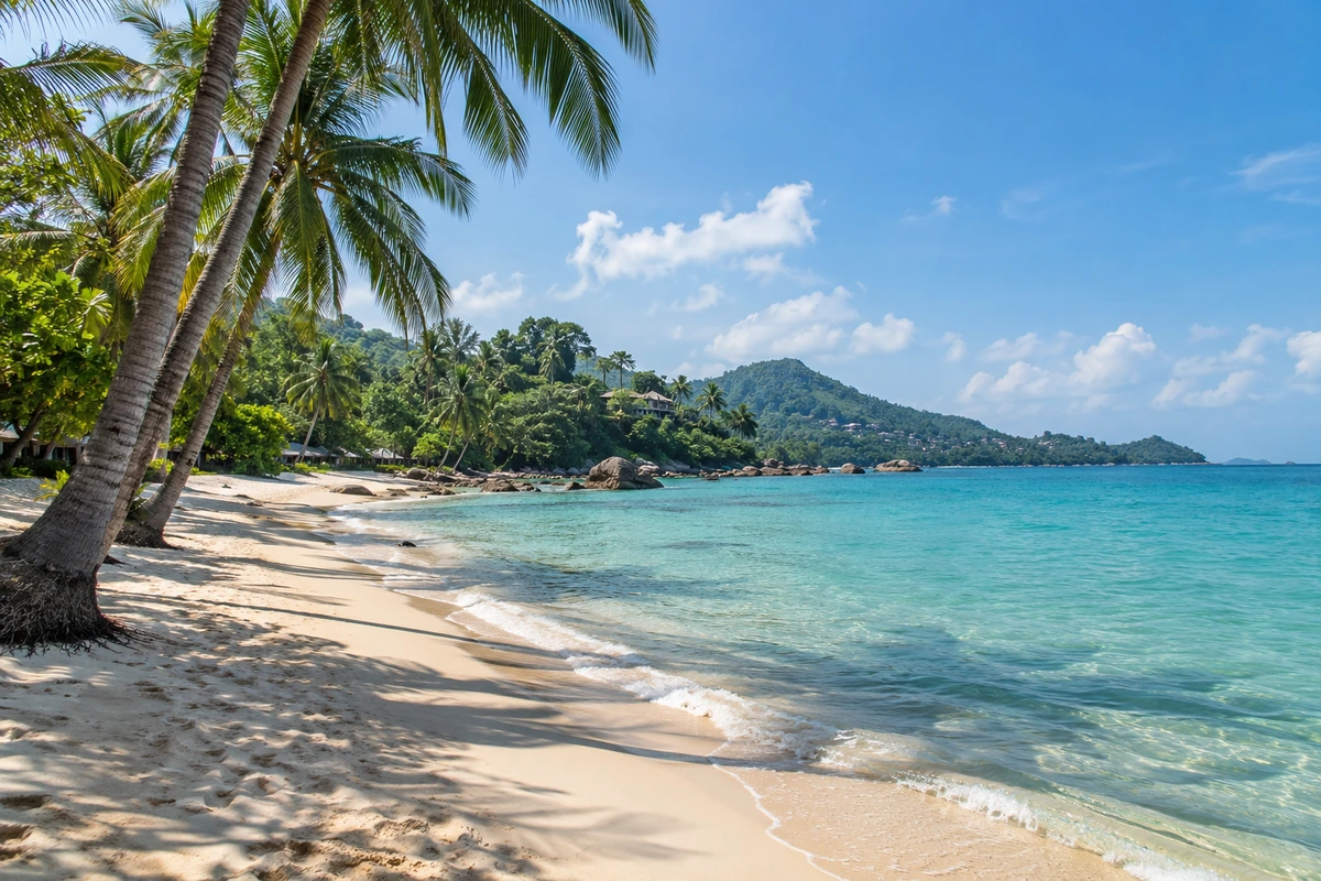 Plage de Koh Samui avec des cocotiers