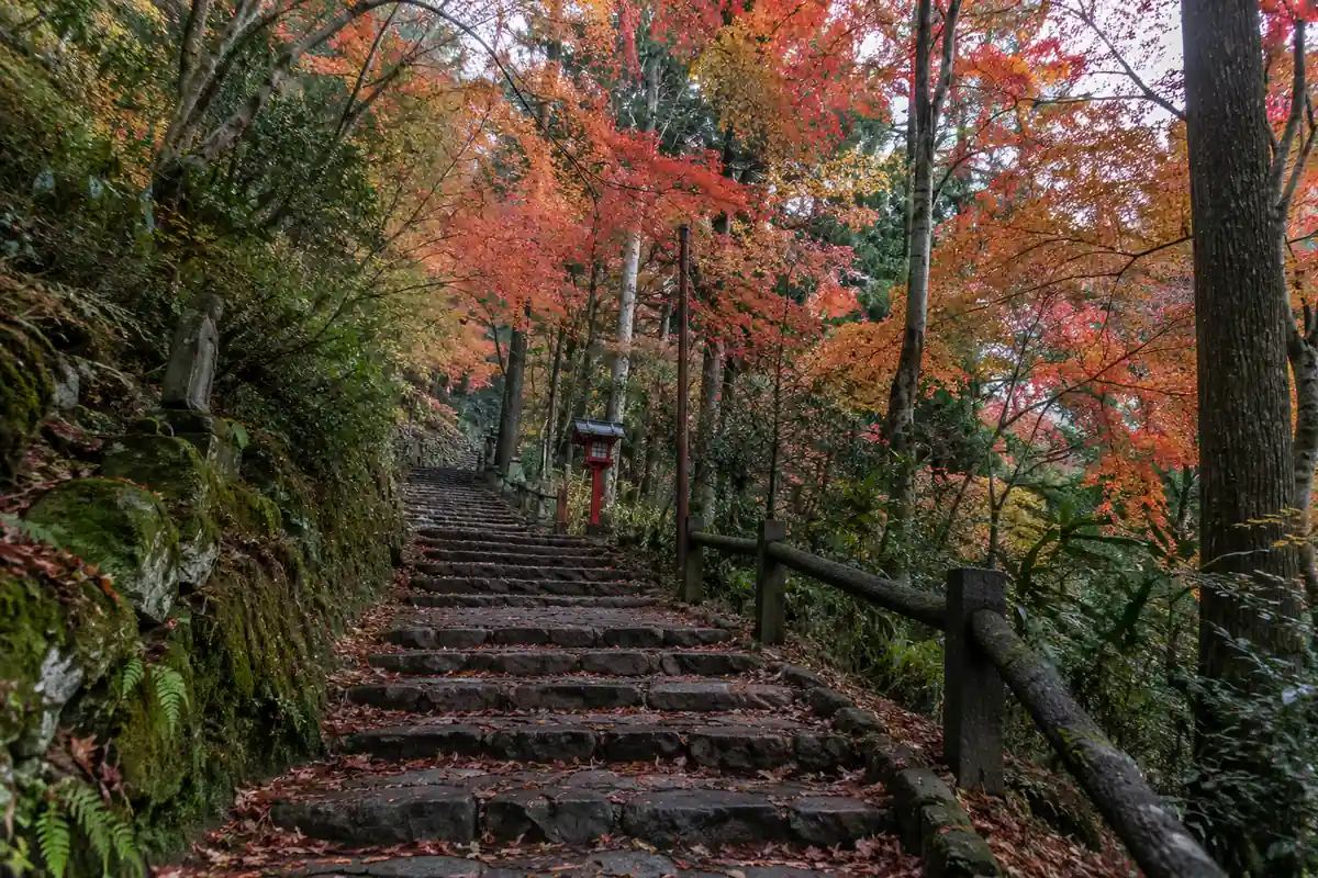 Sentier en escalier bordé d'érables rouges sur le mont Takao